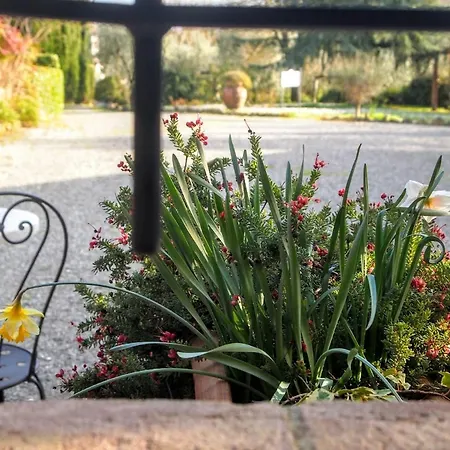 L'aia Country Holidays Country house Siena