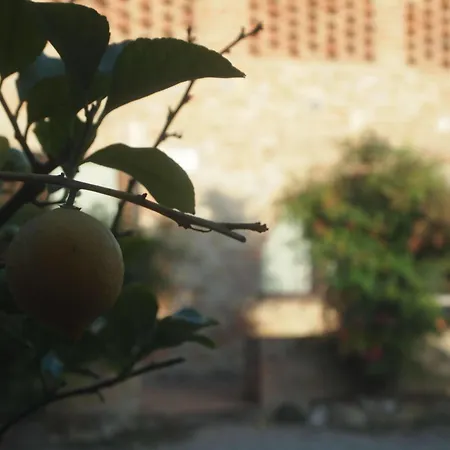 L'aia Country Holidays Country house Siena